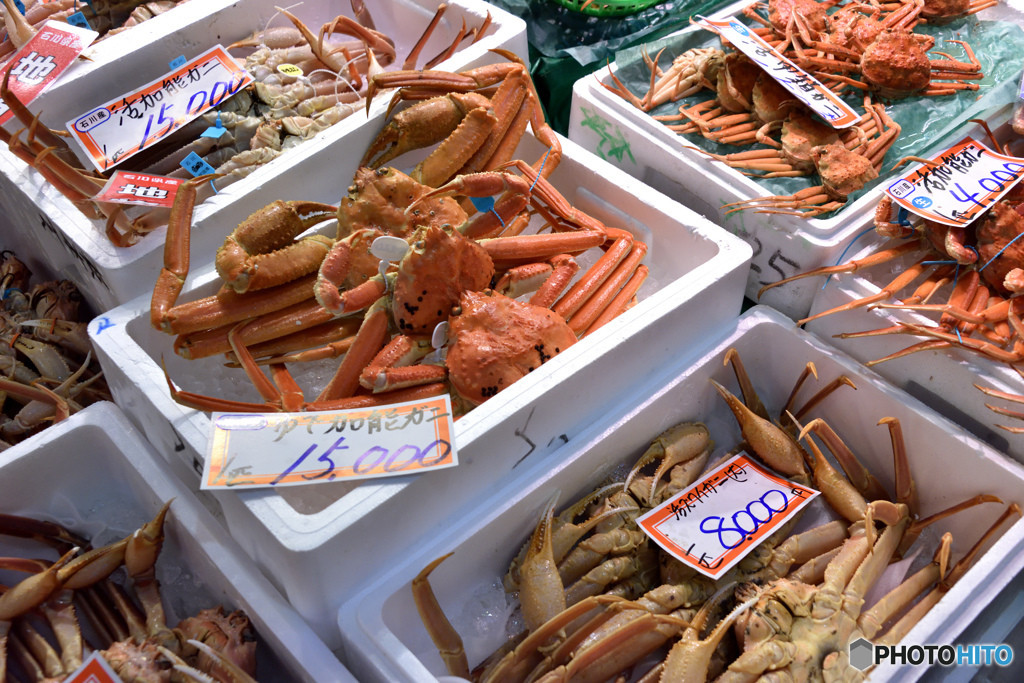 ご飯は金沢の「美味しい」を味わおう！3684850