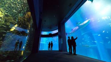 観光スポット / 20