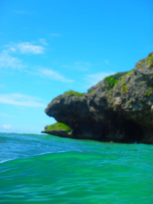 michi_1017さんの写真 / 1