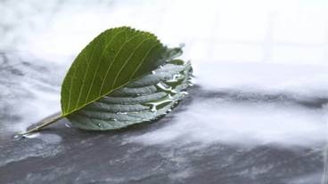 フィットネス設備 / 2