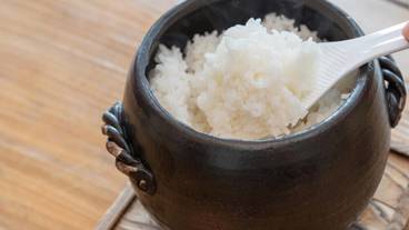 食事・飲み物 / 30