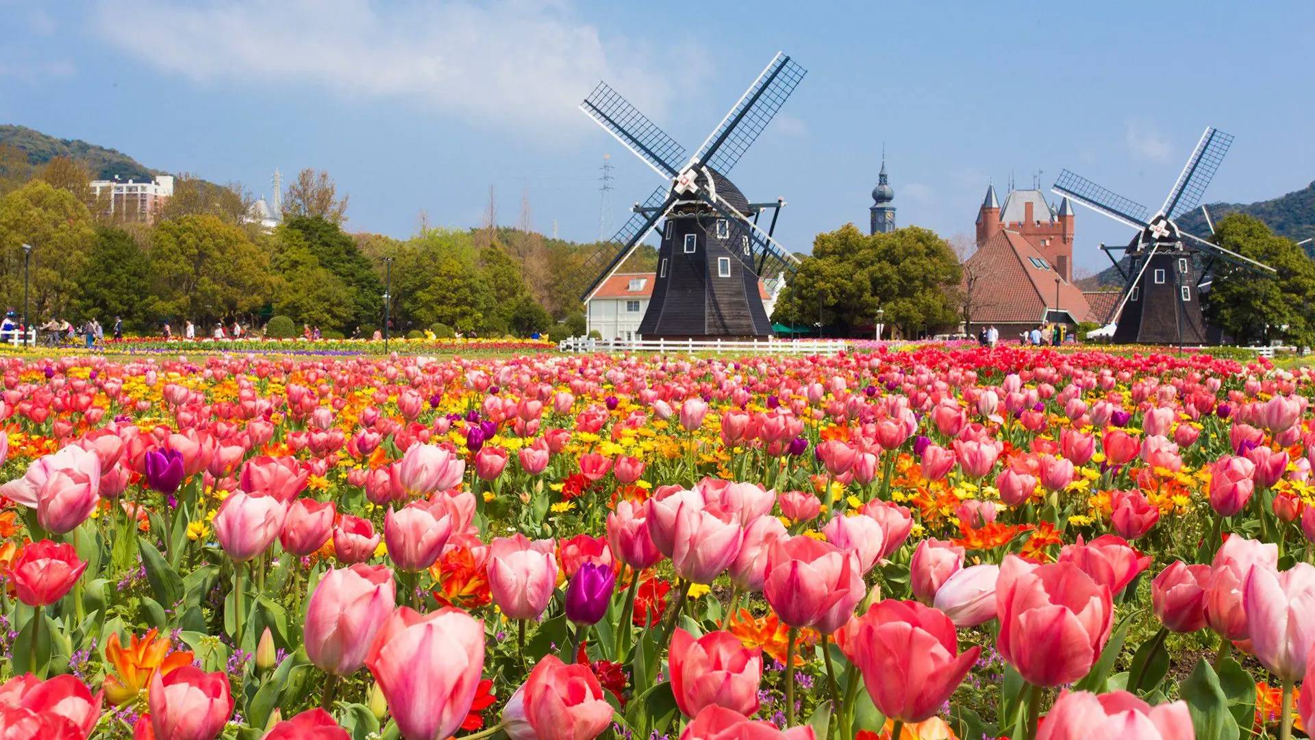 ハウステンボス5 - icotto