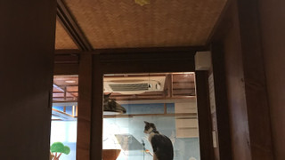 ファミリー ルーム