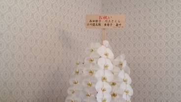 レセプション ホール / 15