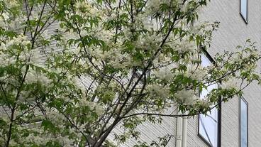 メイン イメージ / 1