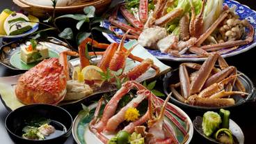 城崎温泉 喧噪の隠れ家 月のしずく(キノサキオンセン ケンソウノカクレガ ツキノシズク) / 1