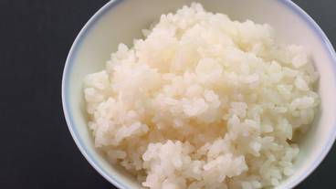 食事・飲み物 / 11