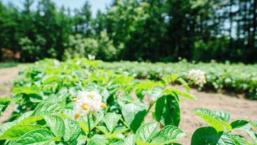 施設の敷地 / 26