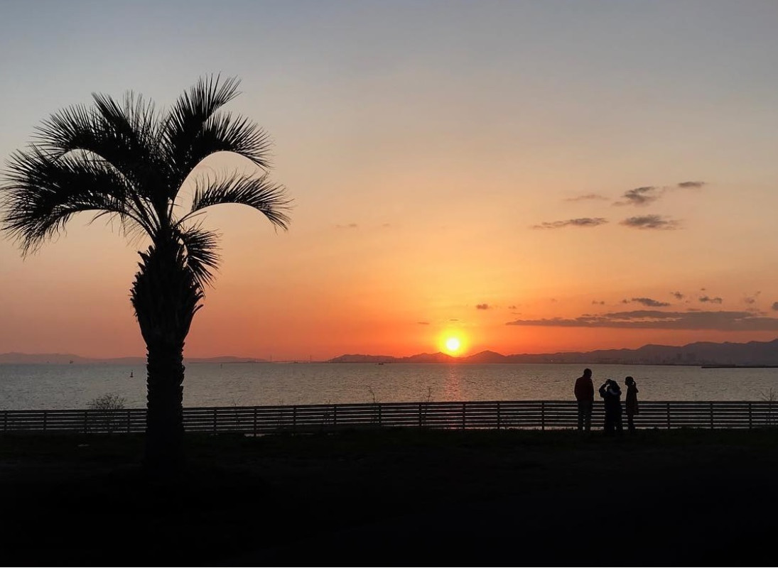 敷地内から見た夕日①