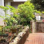 わらゆんSo ヴィラ壺屋（沖縄県 コテージ・ロッジ・一棟貸） / 3