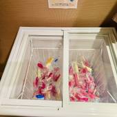 天然温泉 富嶽の湯 ドーミーイン三島（静岡県 ビジネスホテル） / 3