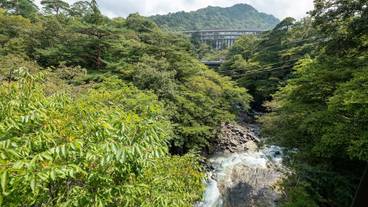 部屋からの景観 / 40