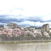 五条 パラディソ(京都府 ゲストハウス・ホステル・ドミトリー) / 4