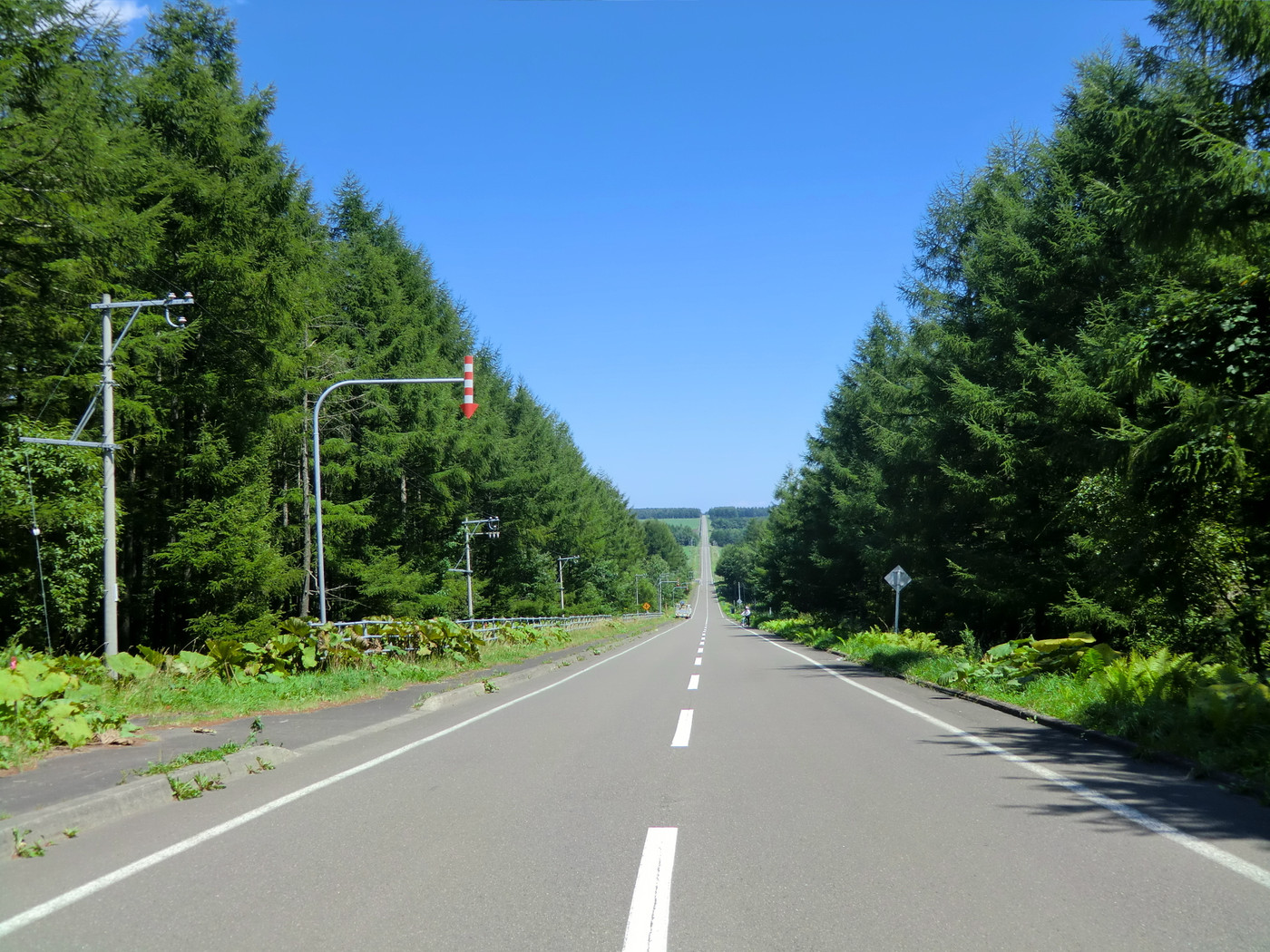 4.北19号(ミルクロード)1255592