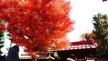 施設からの眺望 / 15