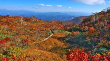 ハイキング / 12