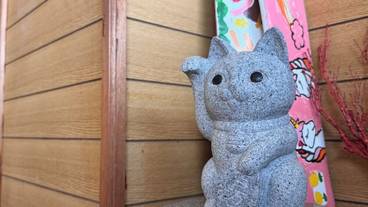 施設の入り口 / 11