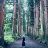 癒しと元気をもらいに行こう。神秘のパワースポット「戸隠神社」へ詣でるプラン【長野】