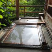秘湯にごり湯の宿 渓雲閣(栃木県 旅館) / 4
