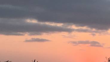 施設からの眺望 / 24