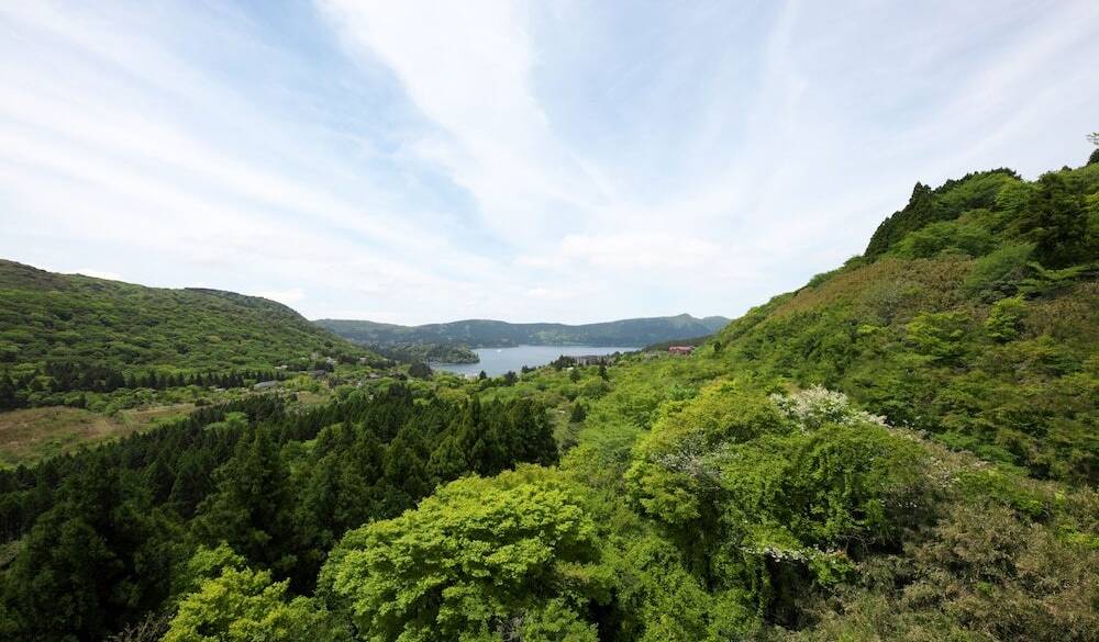 マウンテンビュー / 4