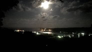 施設からの眺望 / 14