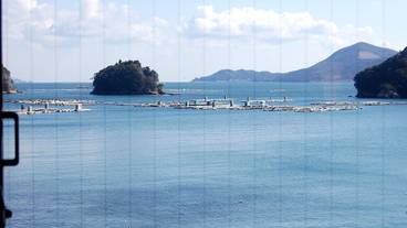 部屋からの景観 / 11