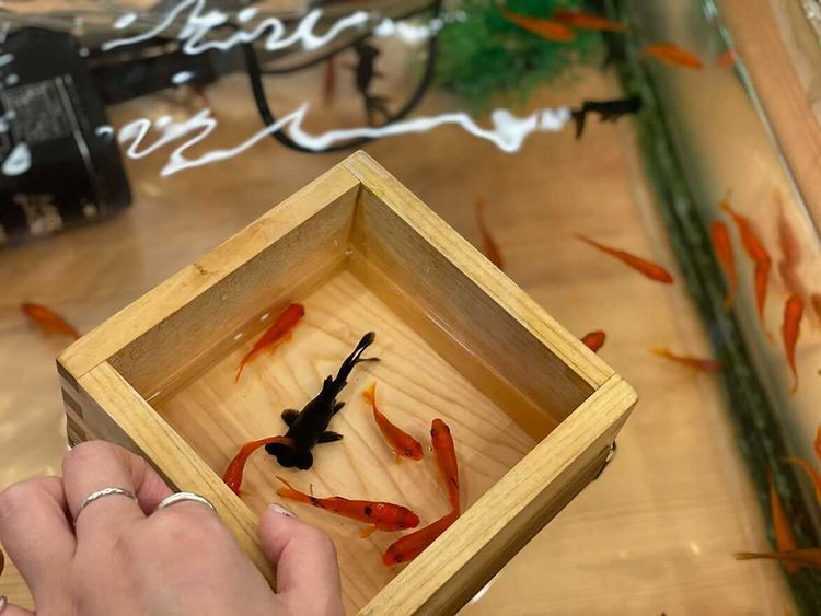 __saekoo__さんの写真 / 2