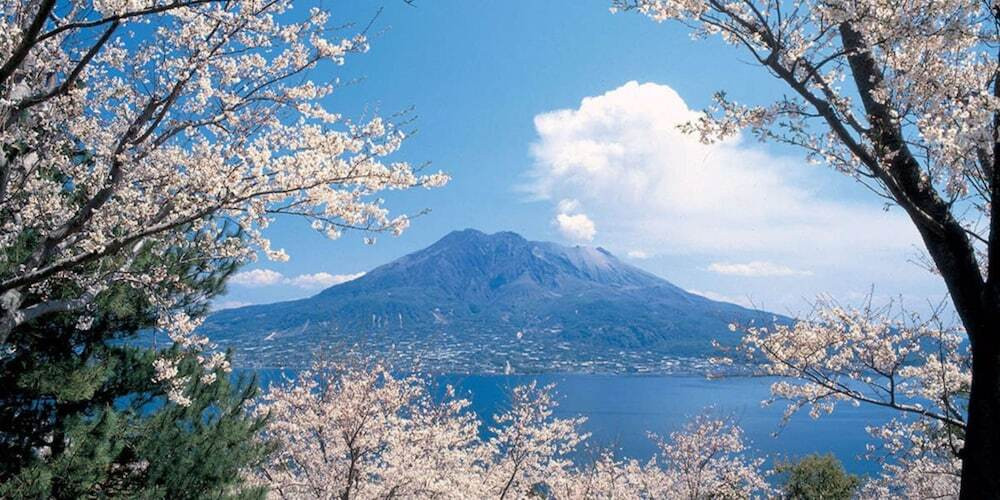 施設からの眺望