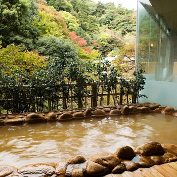 湯巡り三昧♪豊富な自家源泉×お肉料理が自慢の宿3521385