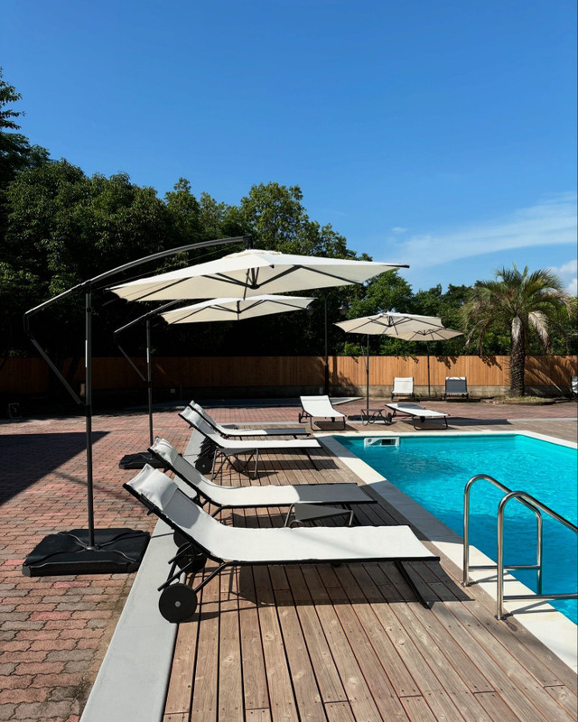 risa__2yさんの写真 / 1