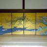 hanezuiro1206さんの写真