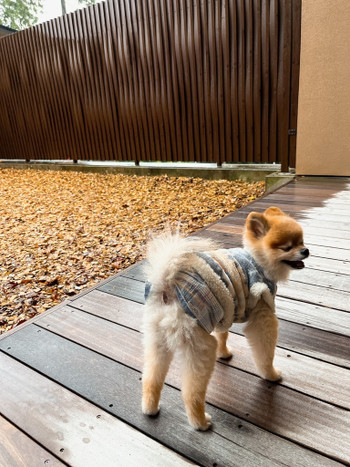 「レジーナリゾート箱根雲外荘」 その他 190252306 