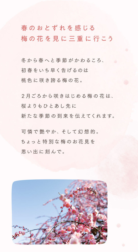梅の花の香りに誘われて。幻想的なお花見 - 1