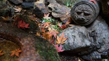 建物のデザイン / 8