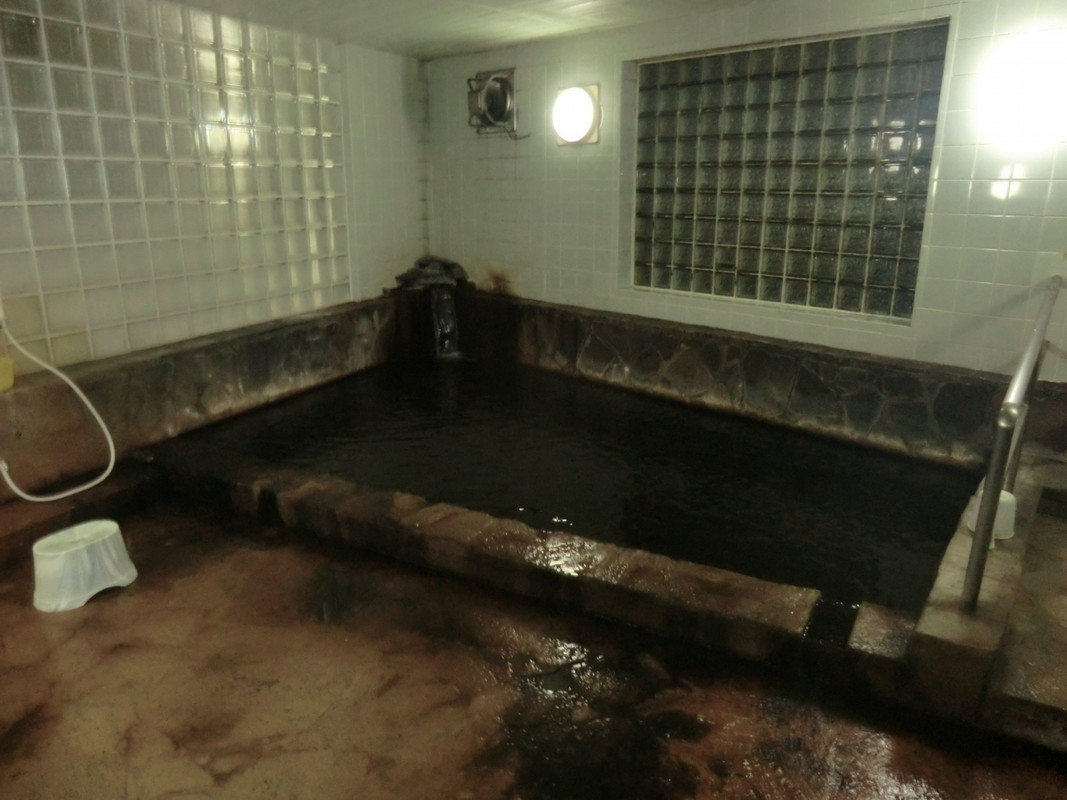 源泉かけ流しの内湯。