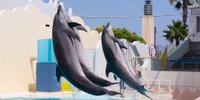 山あり！海あり！魅力満載の兵庫県・須磨の観光スポット7選