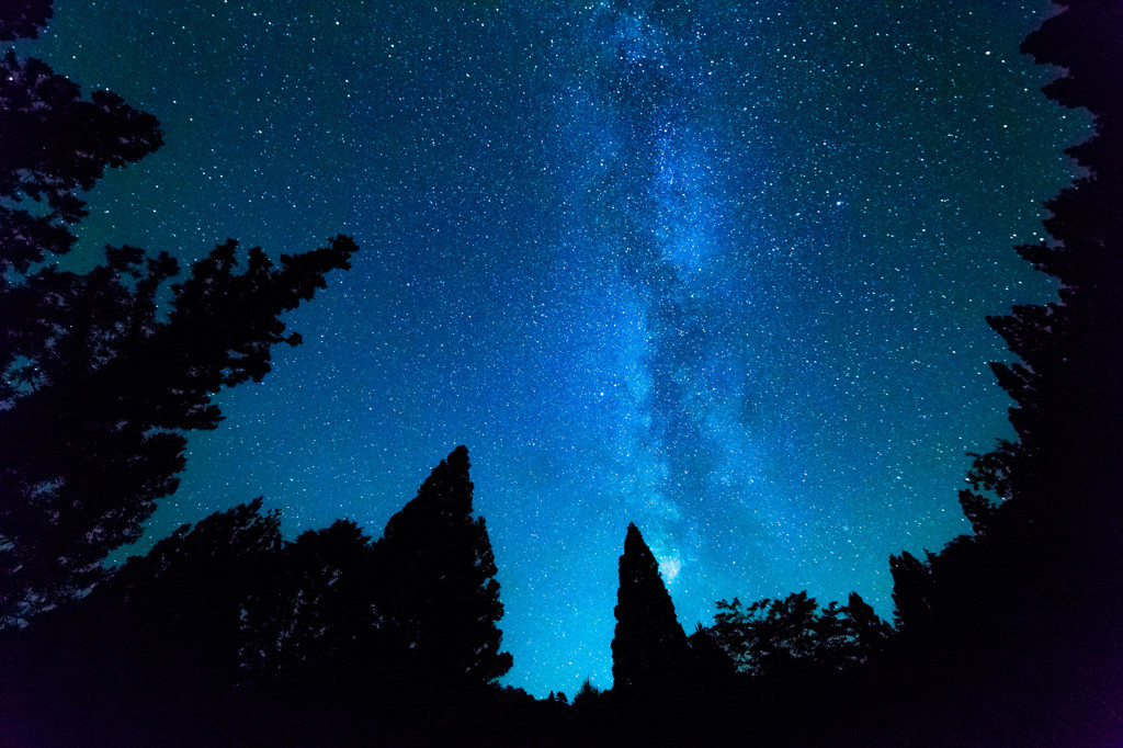 いよいよ待ちに待った天空の楽園へ3514568