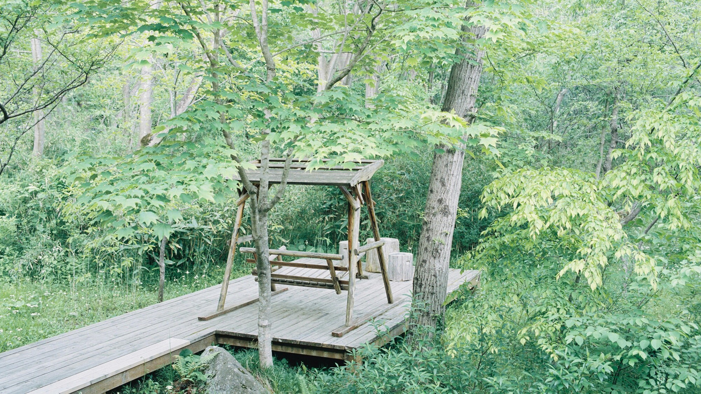 野を愛でる つめ草 屋外テラス