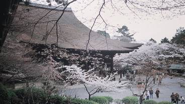 マウンテン ビュー / 22