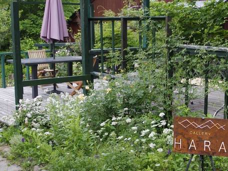 Gallery HARA＆GUESTHOUSE / 1