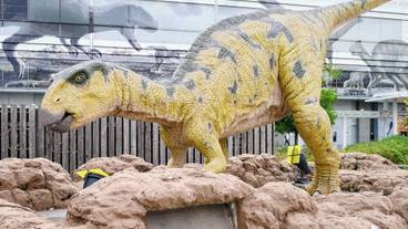 シティ ビュー / 21