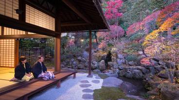 「上段の間」から眺める日本庭園 / 1