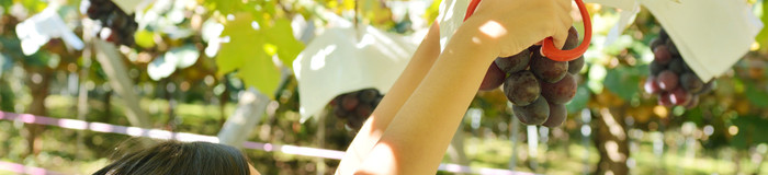 【甲府】子連れでのんびり♪家族旅行におすすめのホテル・旅館9選