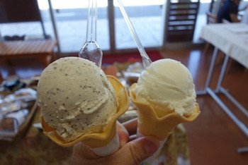 「うるまジェラート」 料理 40832824 