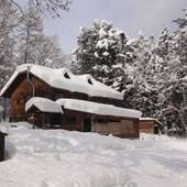 Lodge Q（長野県 コテージ・ロッジ・一棟貸） / 4