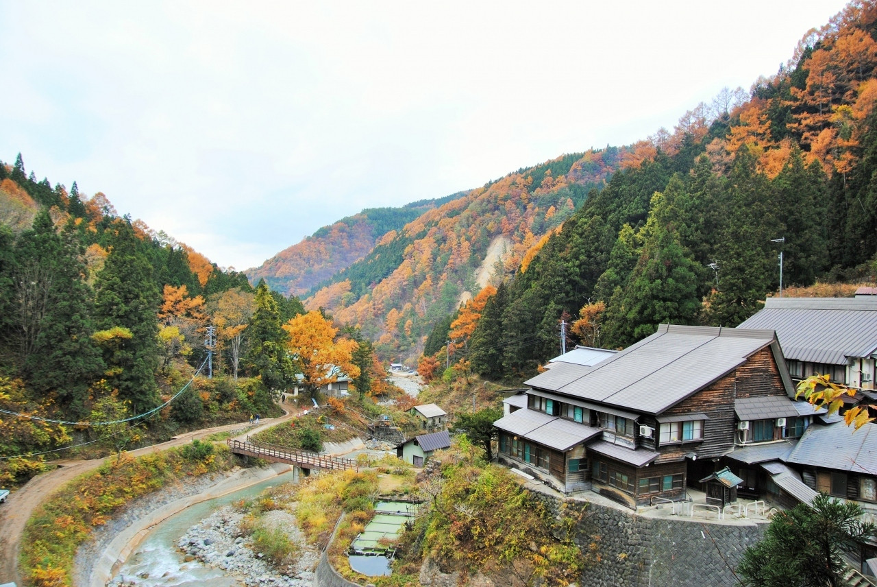 かわいい猿と入れる温泉が魅力4083859