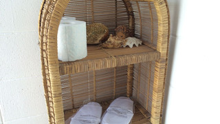 スタンダード 4 人部屋 禁煙 マウンテンビュー