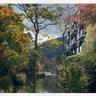 izu_japantravelさんの写真