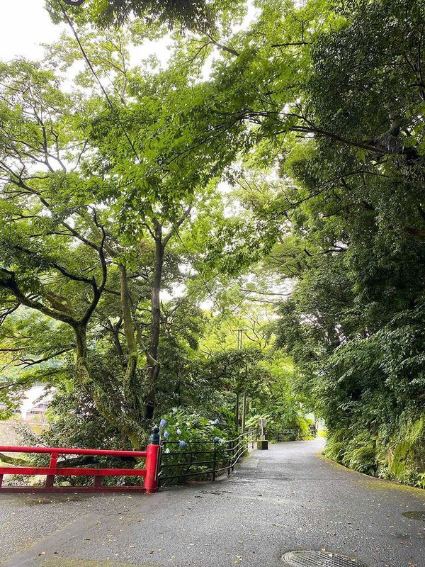 yuru_tabi_さんの写真 / 3